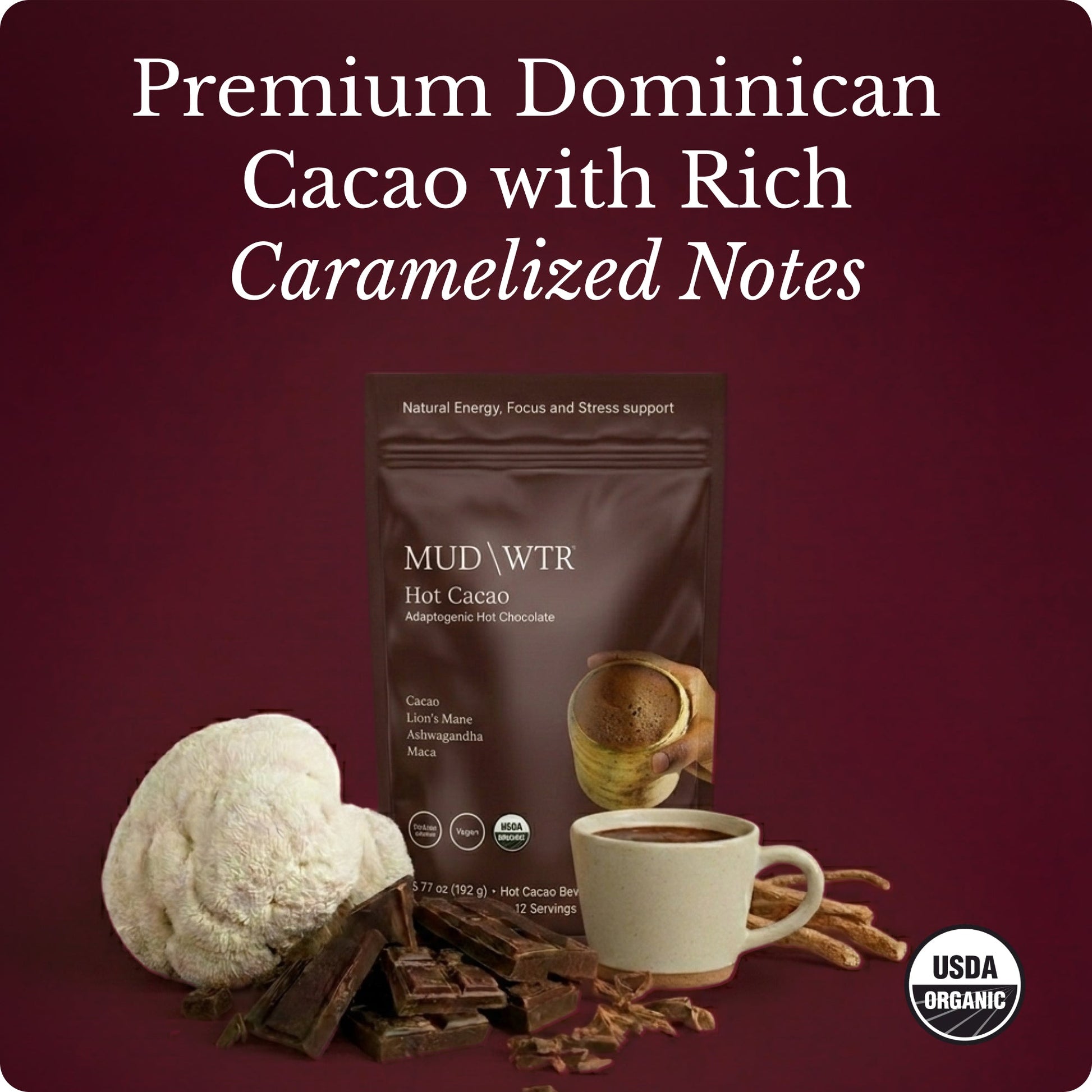 hot-chocolate-m4 Hot_Chocolate_Image_01.jpg