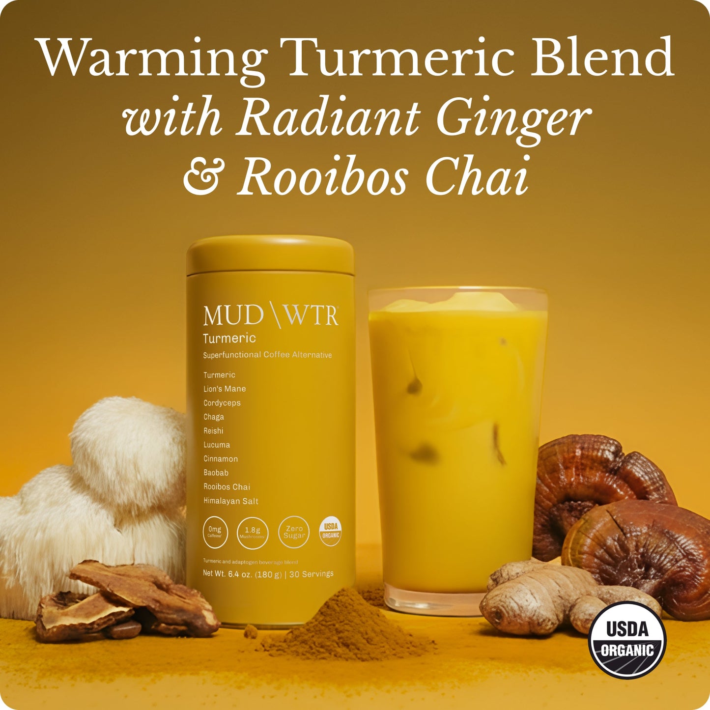 turmeric-30-serving-x9 Turmeric_image_01.jpg