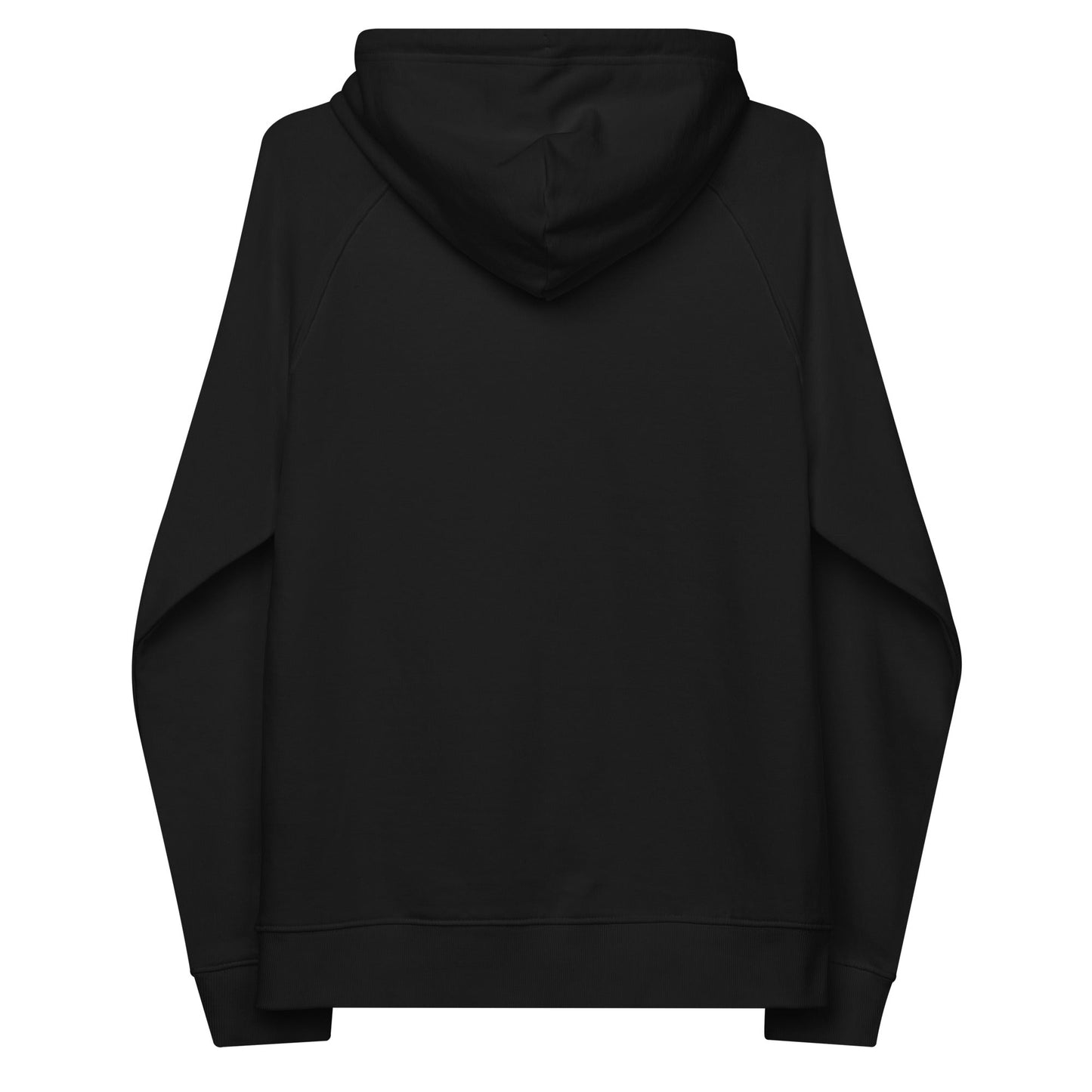 unlearn-relearn-hoodie-t2 unisex-eco-raglan-hoodie-black-back-647547b169f25.jpg
