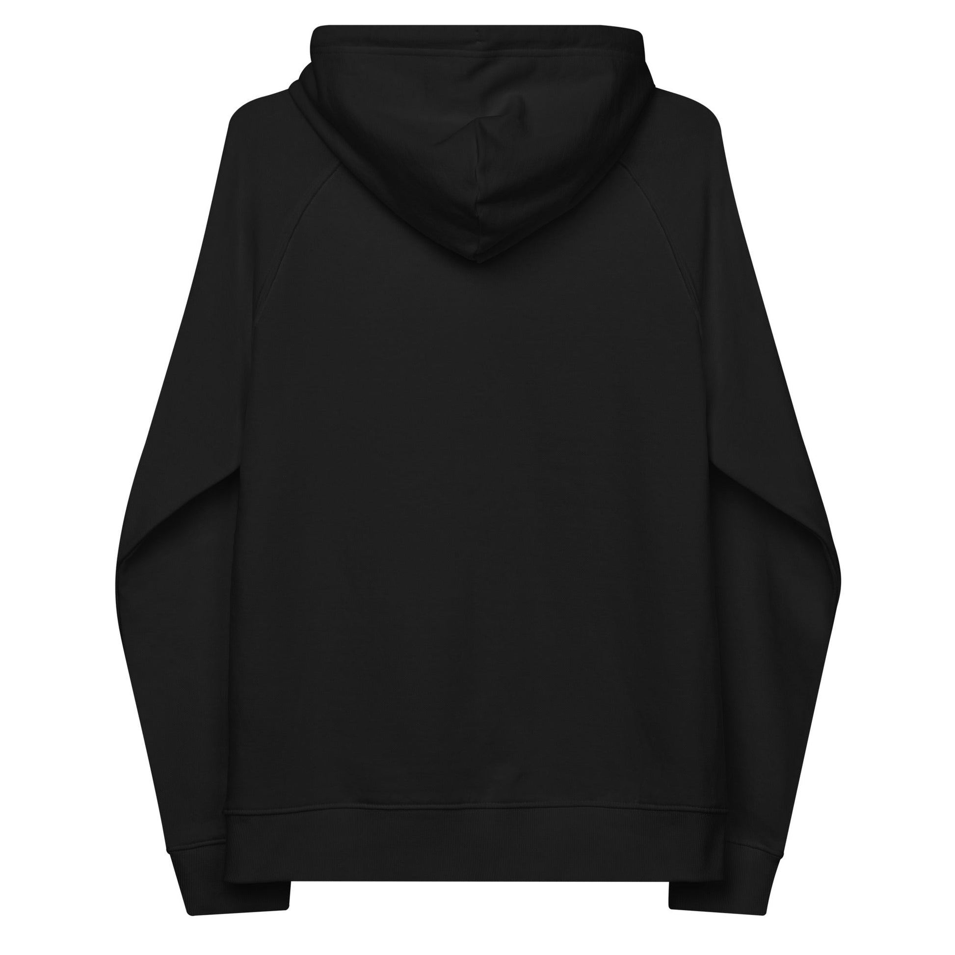 unlearn-relearn-hoodie-t2 unisex-eco-raglan-hoodie-black-back-647547b169f25.jpg